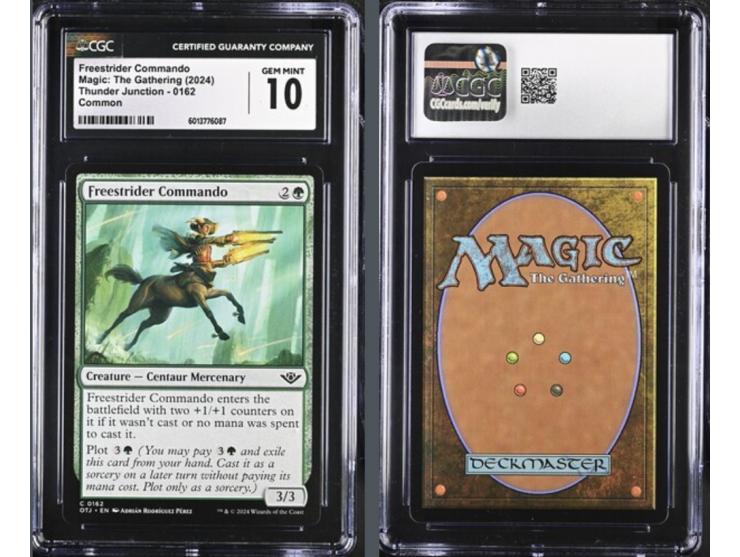 This curated set of four cards is a magnificent visual feast, celebrating the natural power and strategic depth of the 2024 s
